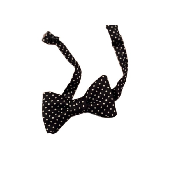 Dion Lee Other - ☀️Dion Bow Tie